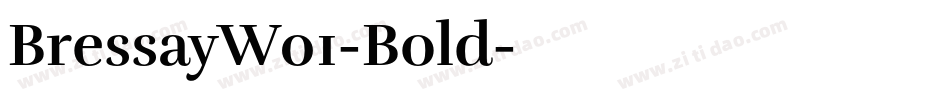 BressayW01-Bold字体转换
