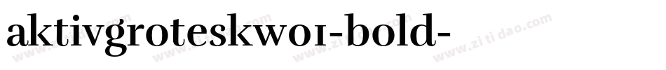 aktivgroteskw01-bold字体转换