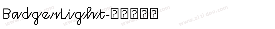 BadgerLight字体转换