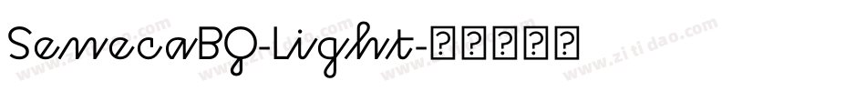 SenecaBQ-Light字体转换