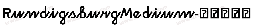 RundigsburgMedium字体转换