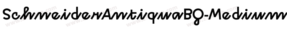 SchneiderAntiquaBQ-Medium字体转换