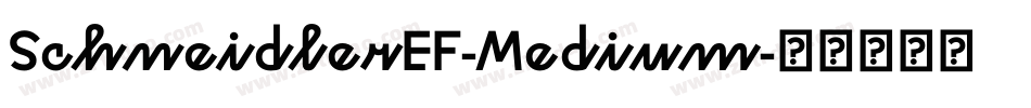 SchneidlerEF-Medium字体转换