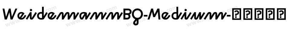 WeidemannBQ-Medium字体转换