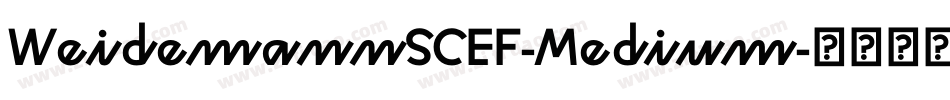 WeidemannSCEF-Medium字体转换