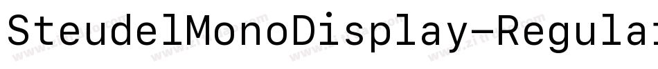 SteudelMonoDisplay-Regular字体转换