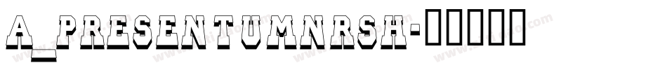 a_PresentumNrSh字体转换