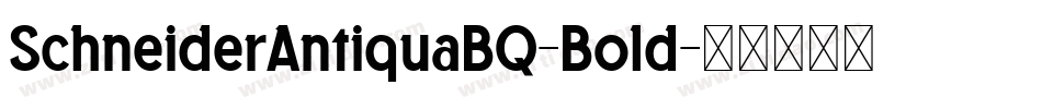 SchneiderAntiquaBQ-Bold字体转换