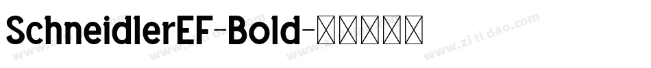 SchneidlerEF-Bold字体转换