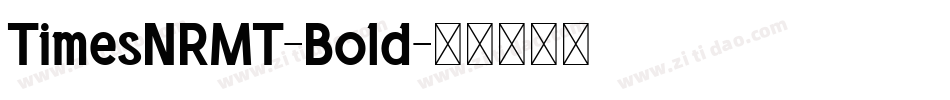 TimesNRMT-Bold字体转换