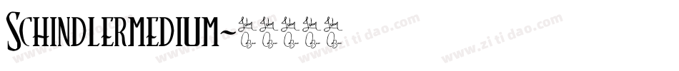 SchindlerMedium字体转换