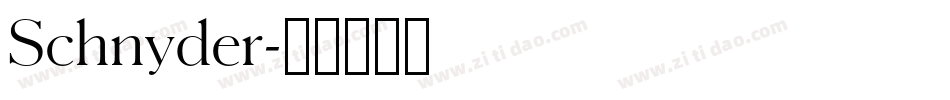 Schnyder字体转换
