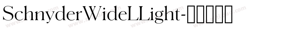 SchnyderWideLLight字体转换