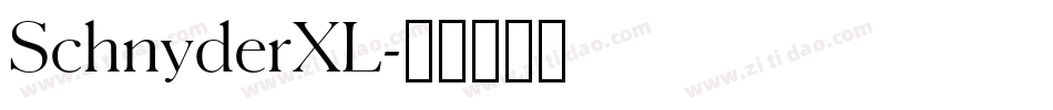 SchnyderXL字体转换