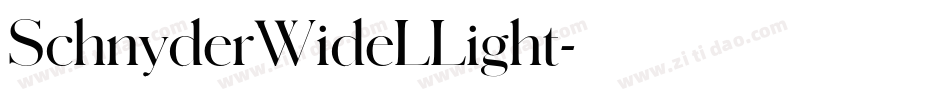 SchnyderWideLLight字体转换