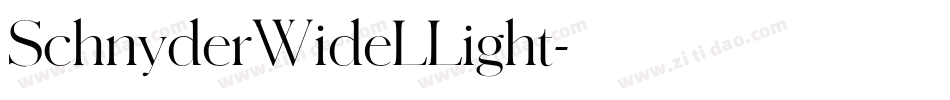 SchnyderWideLLight字体转换