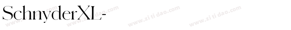 SchnyderXL字体转换