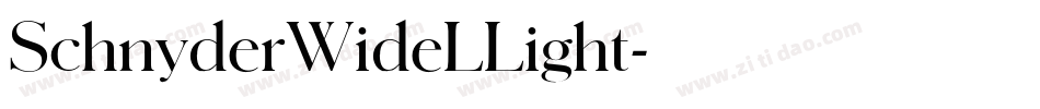 SchnyderWideLLight字体转换
