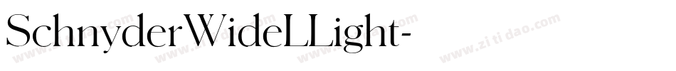 SchnyderWideLLight字体转换