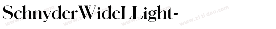 SchnyderWideLLight字体转换