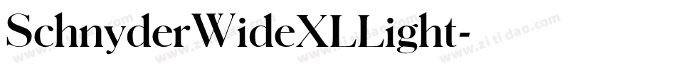 SchnyderWideXLLight字体转换
