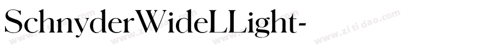SchnyderWideLLight字体转换