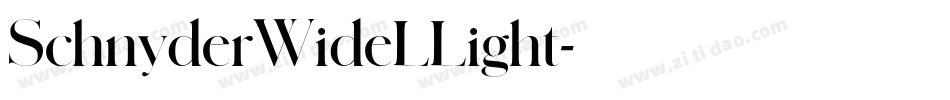 SchnyderWideLLight字体转换