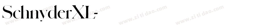 SchnyderXL字体转换