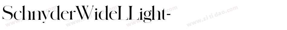 SchnyderWideLLight字体转换