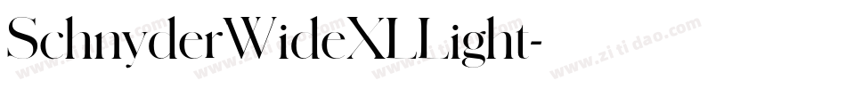 SchnyderWideXLLight字体转换