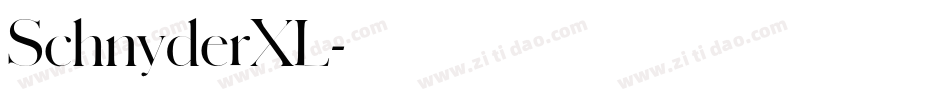 SchnyderXL字体转换