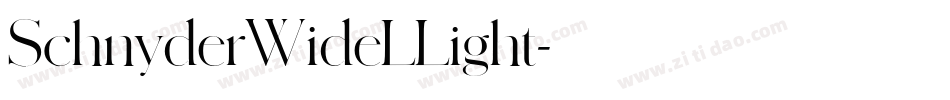 SchnyderWideLLight字体转换