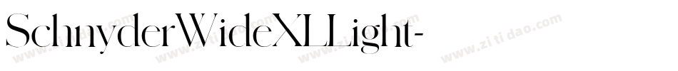 SchnyderWideXLLight字体转换