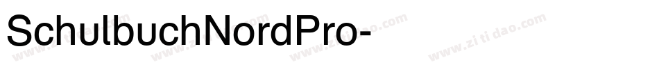 SchulbuchNordPro字体转换