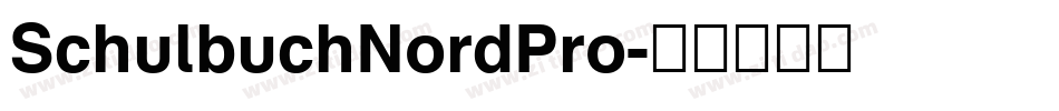 SchulbuchNordPro字体转换