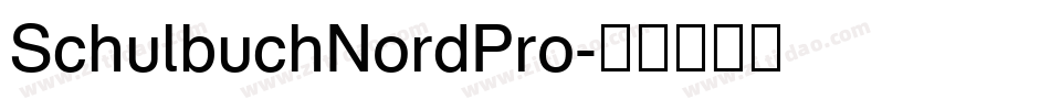 SchulbuchNordPro字体转换
