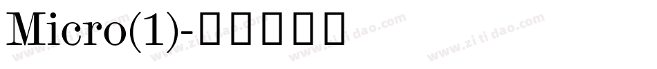 Micro(1)字体转换