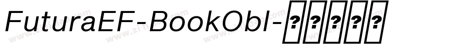 FuturaEF-BookObl字体转换