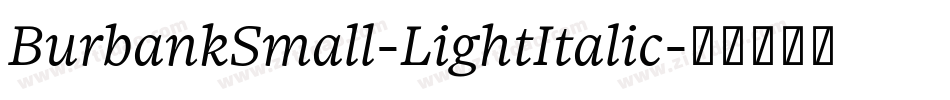 BurbankSmall-LightItalic字体转换