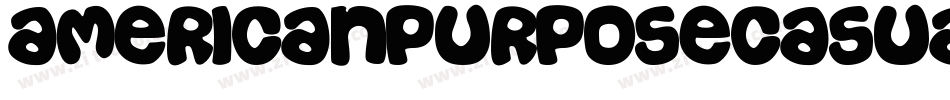 AmericanPurposeCasual02-jDG9字体转换