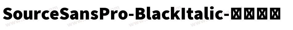 SourceSansPro-BlackItalic字体转换
