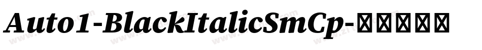 Auto1-BlackItalicSmCp字体转换