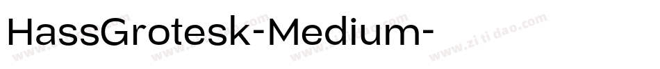 HassGrotesk-Medium字体转换