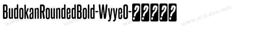 BudokanRoundedBold-WyyeO字体转换