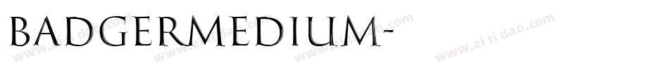 BadgerMedium字体转换