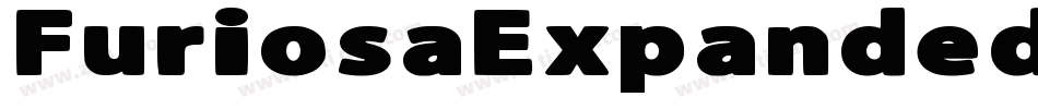 FuriosaExpandedSuperItalic-ZA0l字体转换
