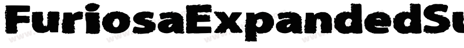 FuriosaExpandedSuperItalic-ZA0l字体转换