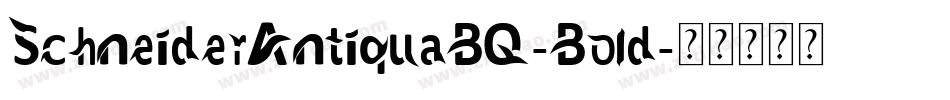 SchneiderAntiquaBQ-Bold字体转换