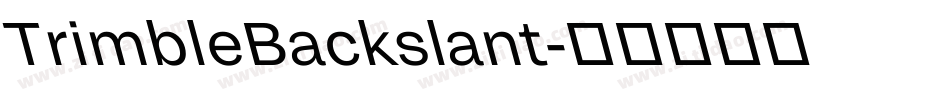 TrimbleBackslant字体转换