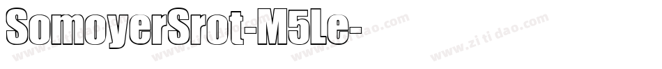 SomoyerSrot-M5Le字体转换